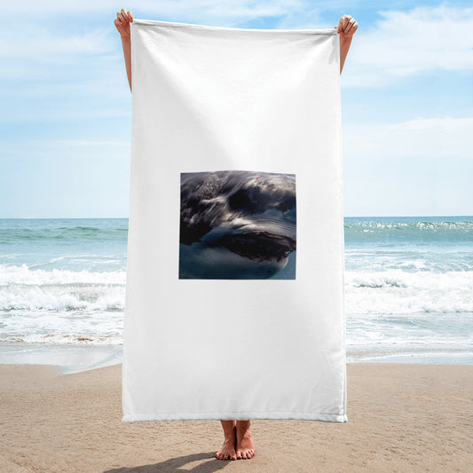 Towel shark